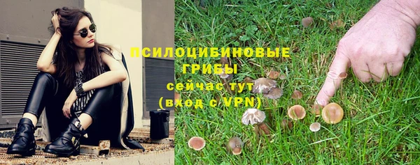 эйфоретик Алексин