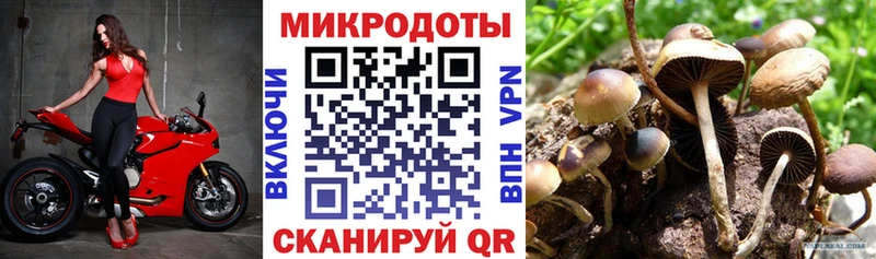 Псилоцибиновые грибы Magic Shrooms  наркота  Менделеевск 